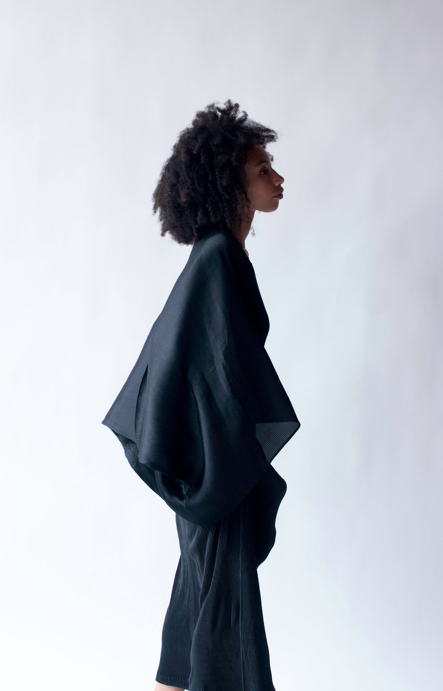 Pleated Gown | Issey Miyake