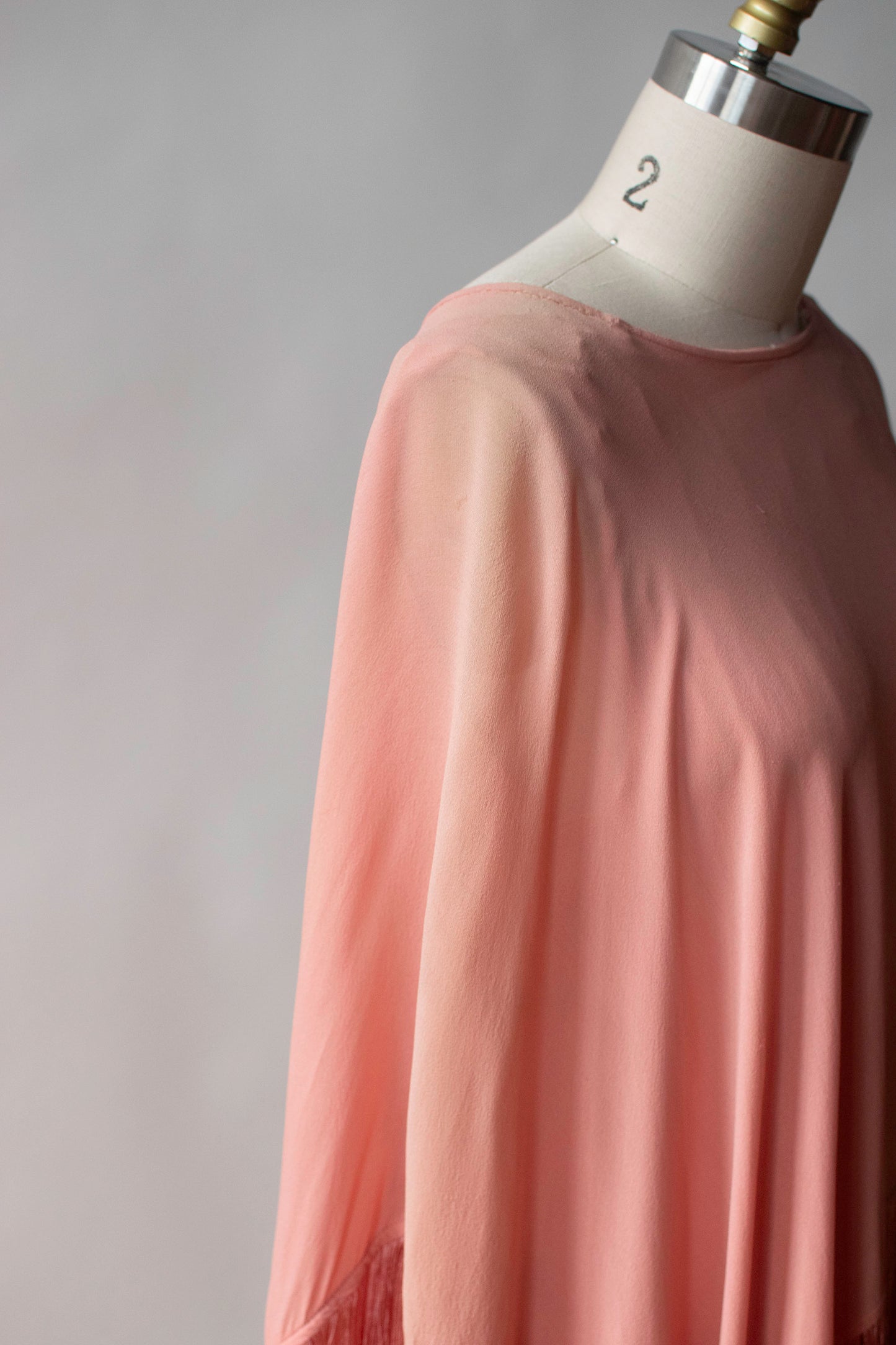 1920s Fringed Dress