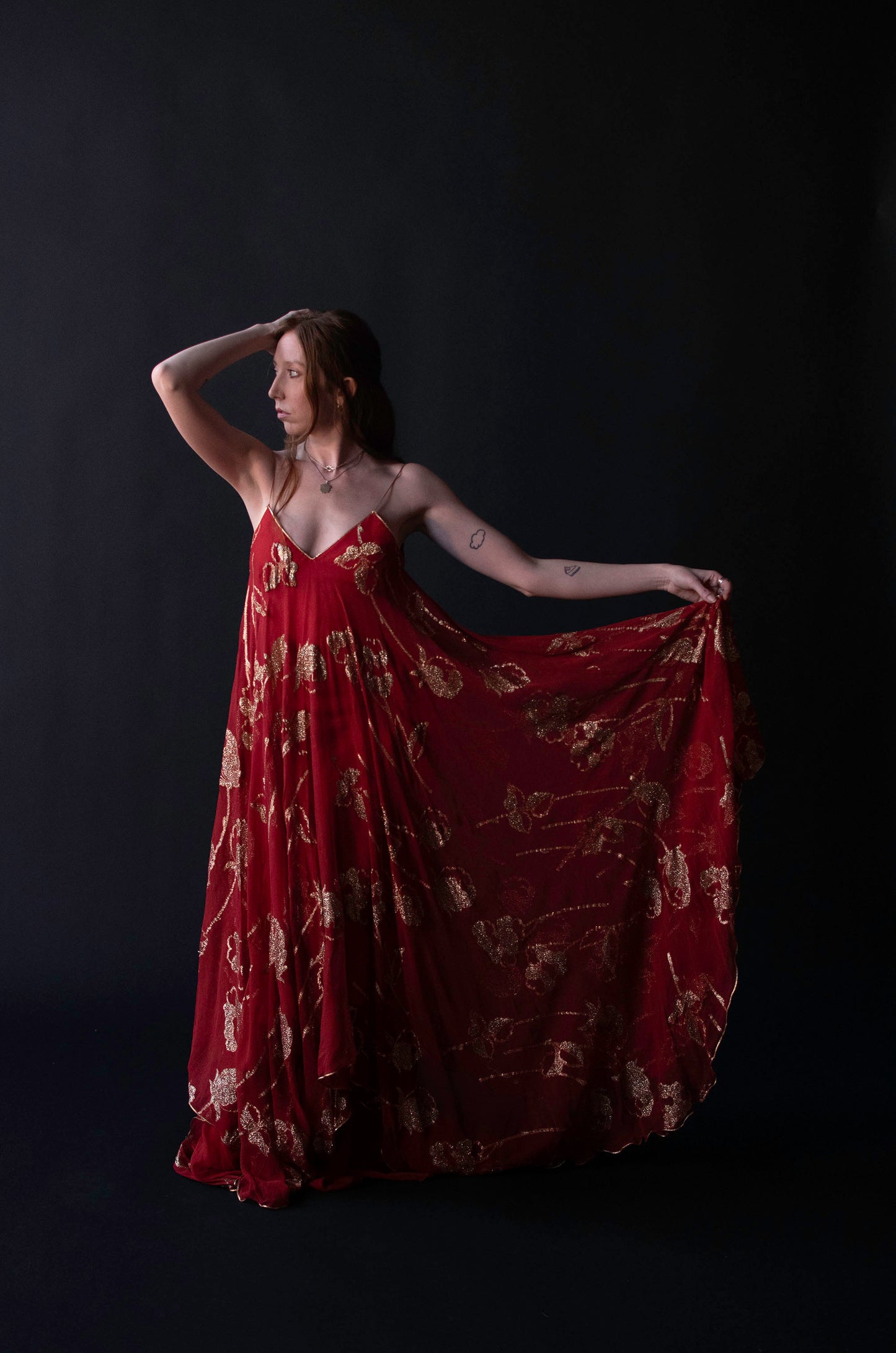 1970s Chiffon Gown | Lesely Sandra