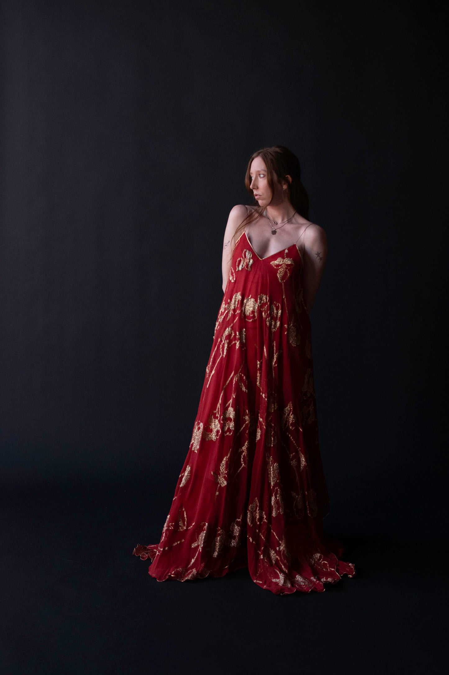 1970s Chiffon Gown | Lesely Sandra