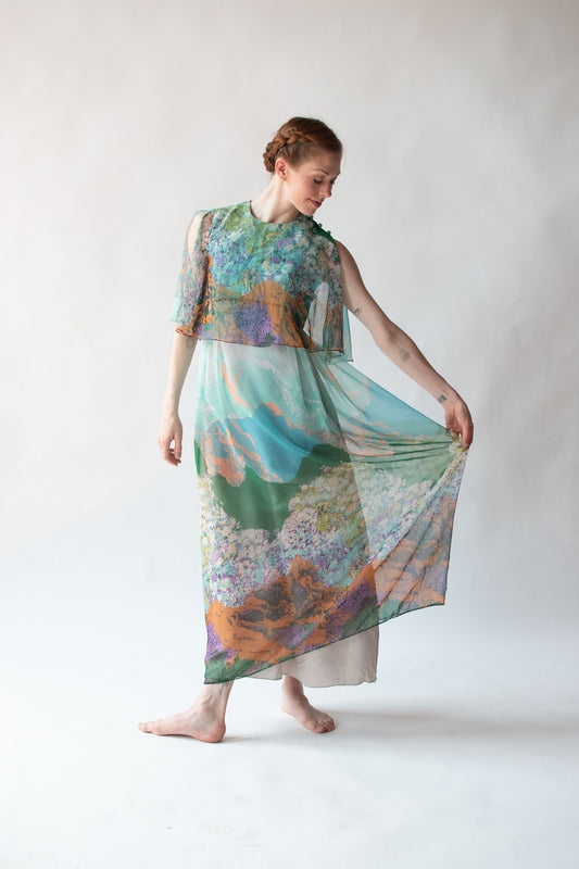 1970s Mountain View Dress