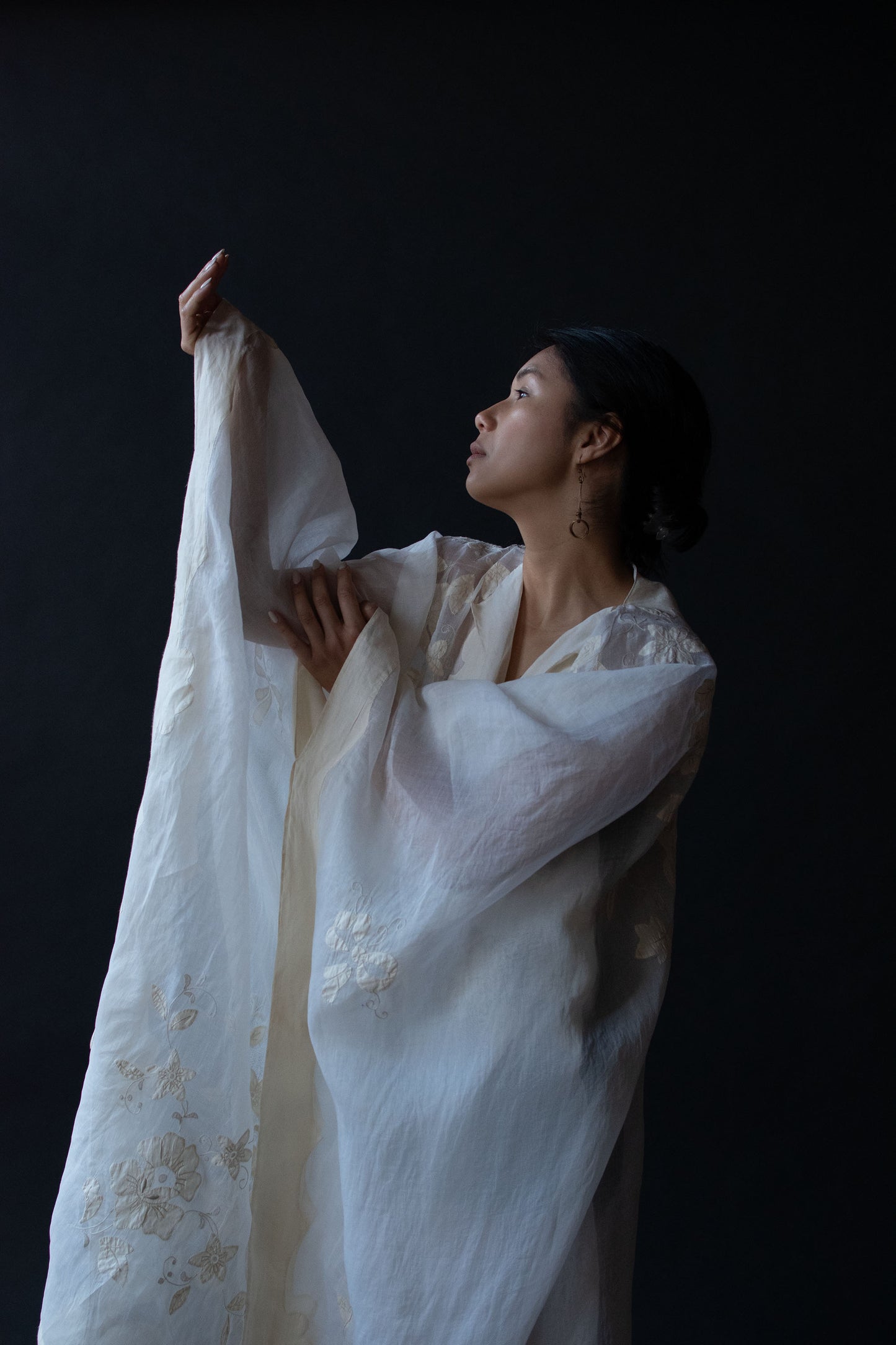 1920s Organdy Caftan