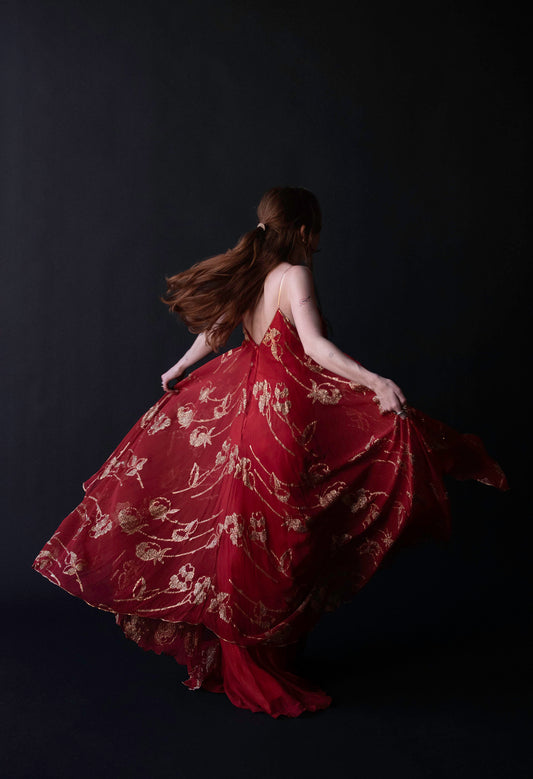 1970s Chiffon Gown | Lesely Sandra