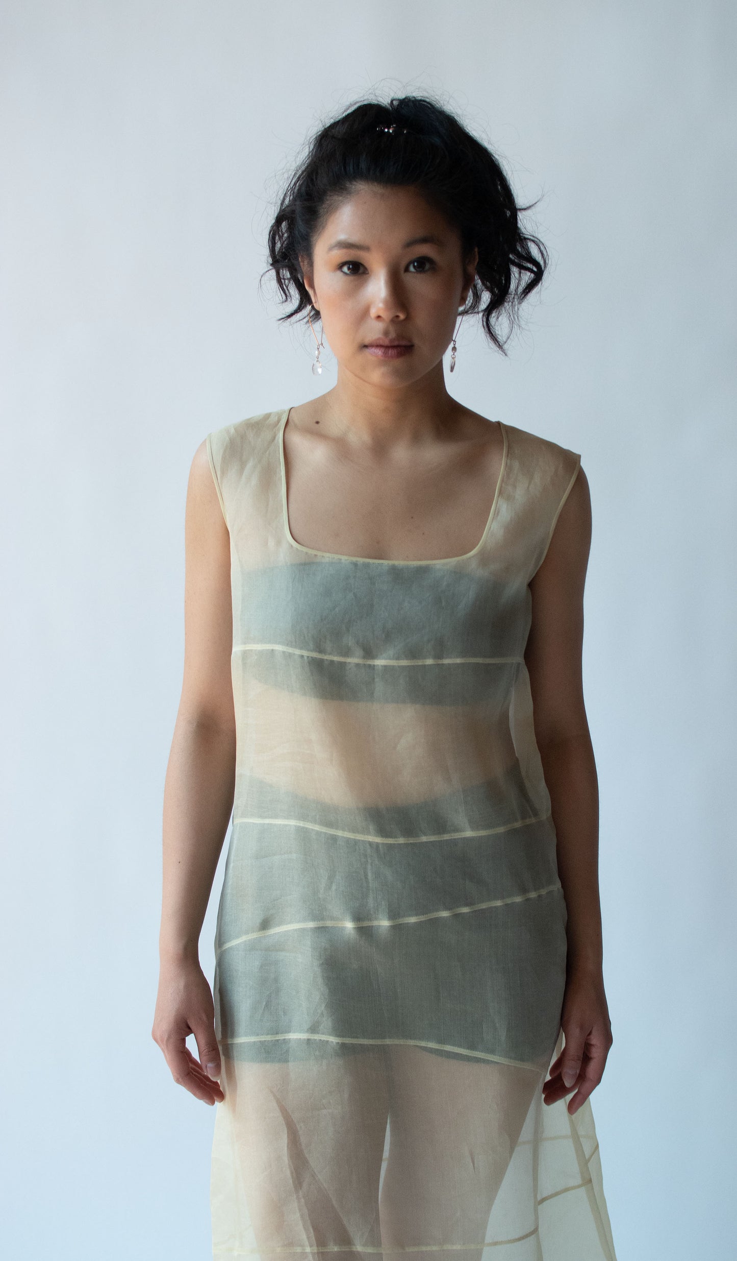 1990s Sheer Organza Dress
