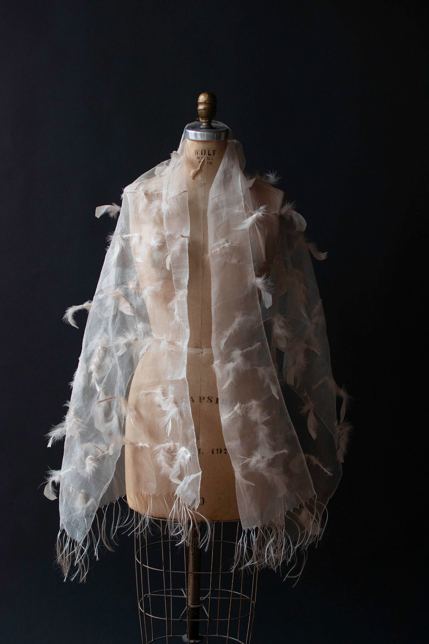 Silk Organza Feather Shawl
