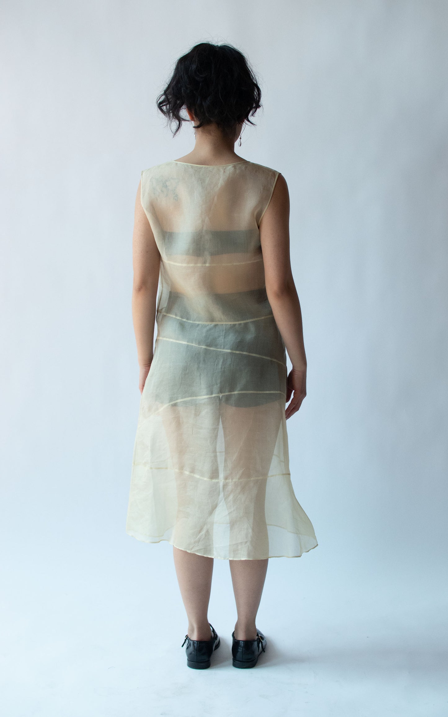 1990s Sheer Organza Dress