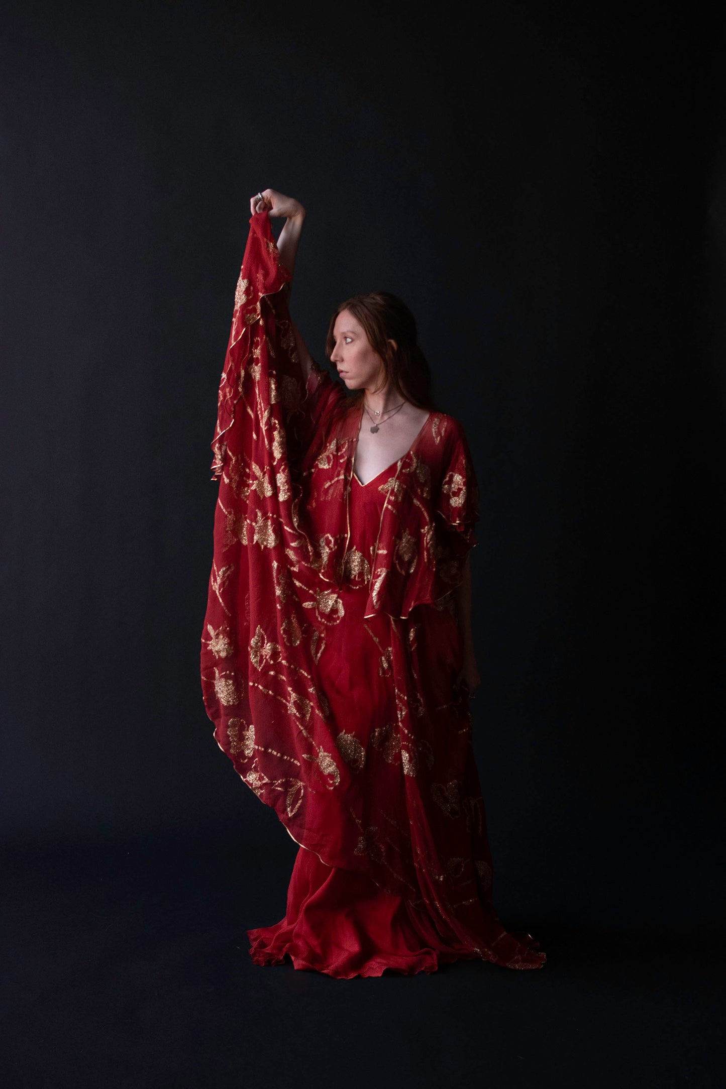 1970s Chiffon Gown | Lesely Sandra