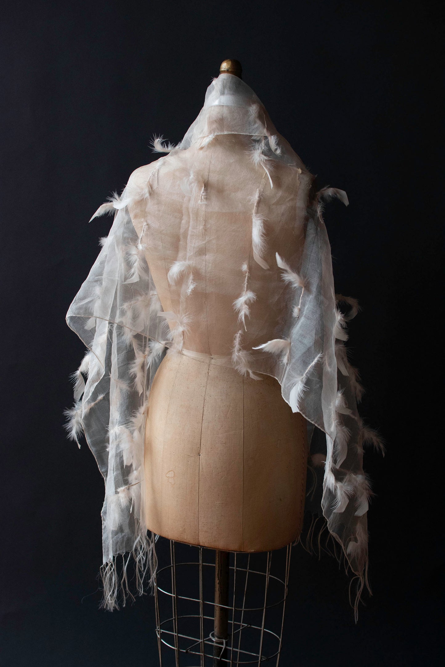 Silk Organza Feather Shawl