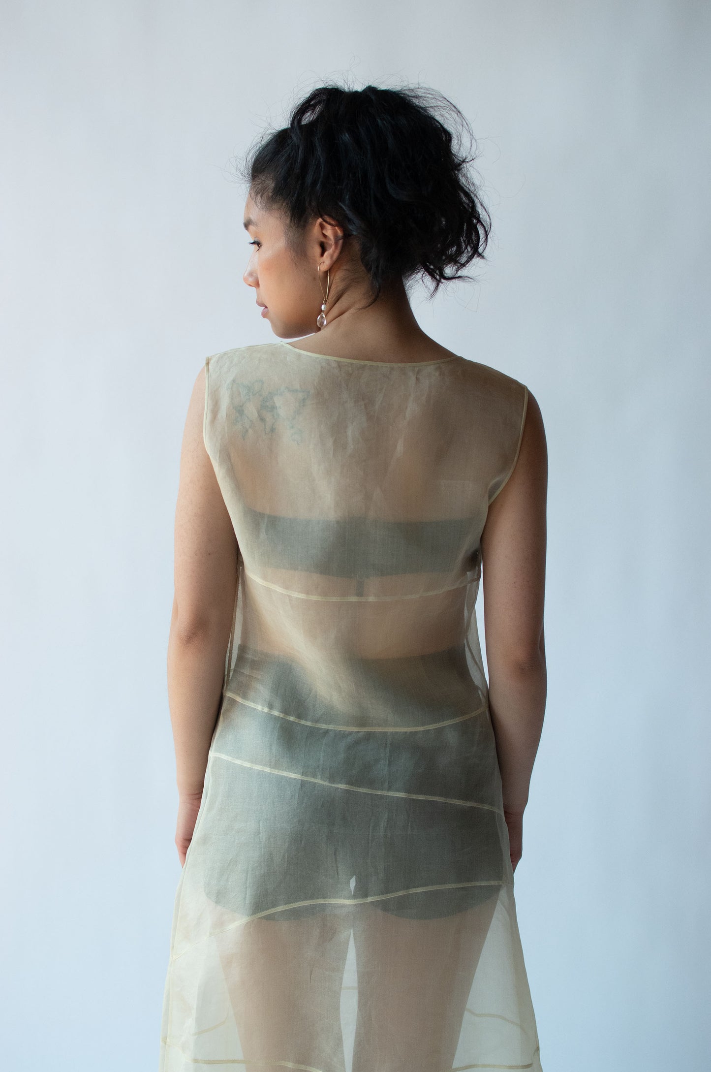 1990s Sheer Organza Dress