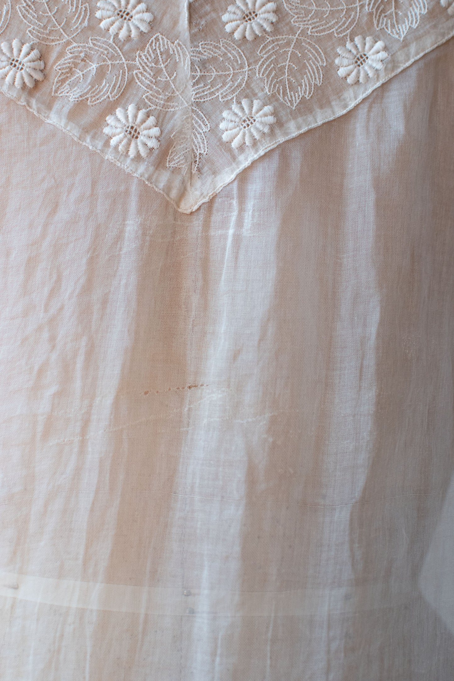1920s Embroidered Dress