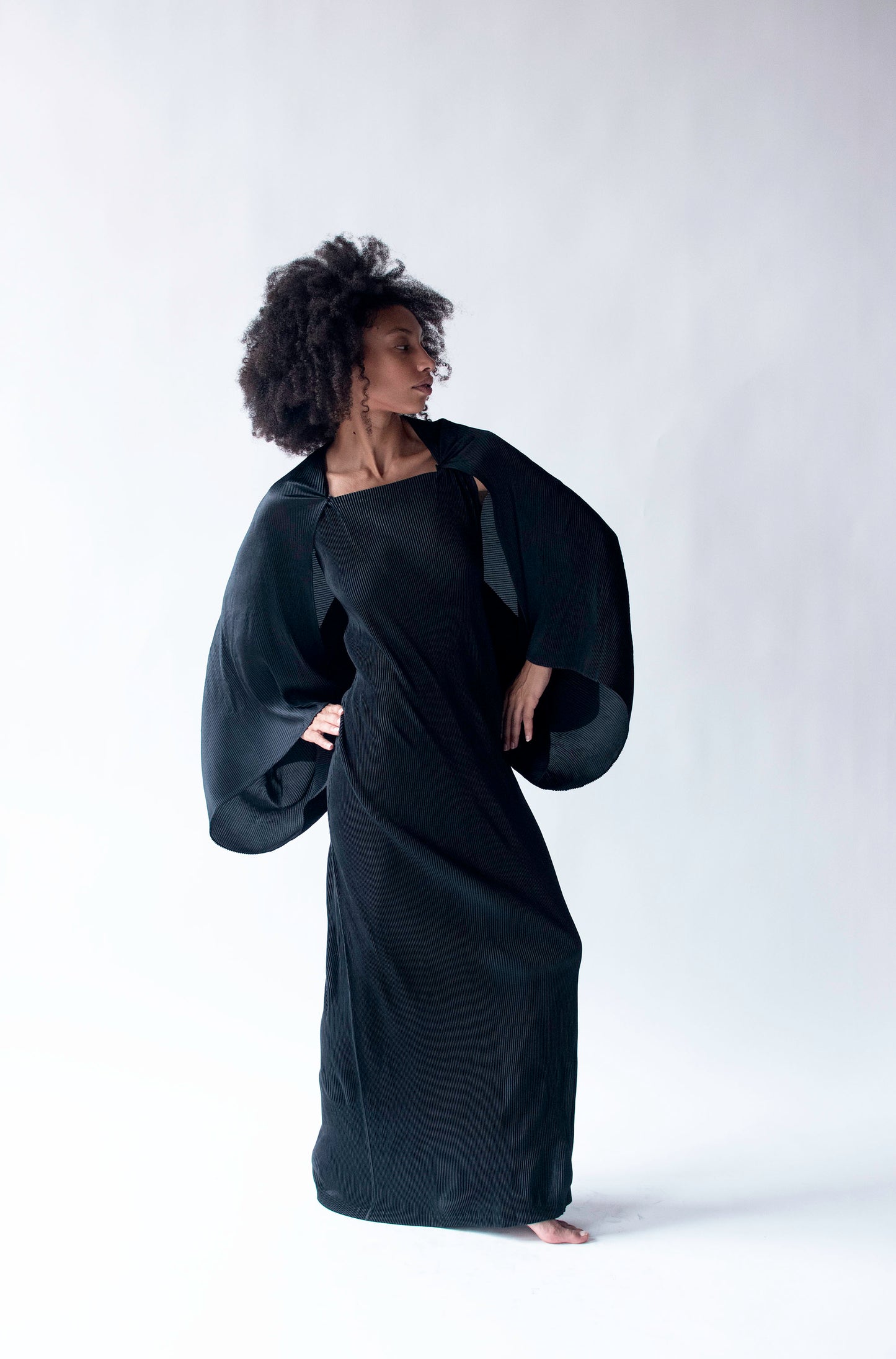 Pleated Gown | Issey Miyake