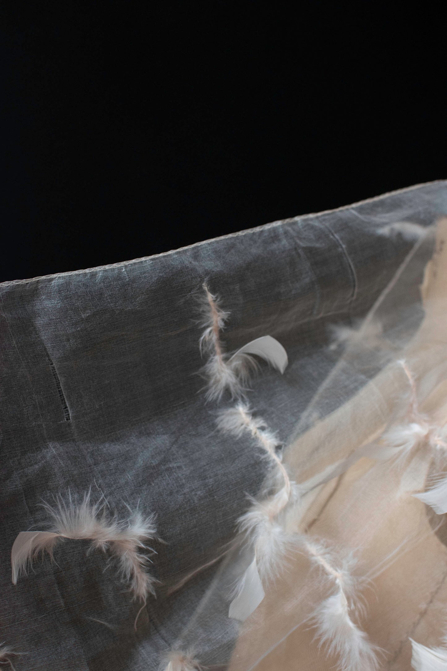 Silk Organza Feather Shawl