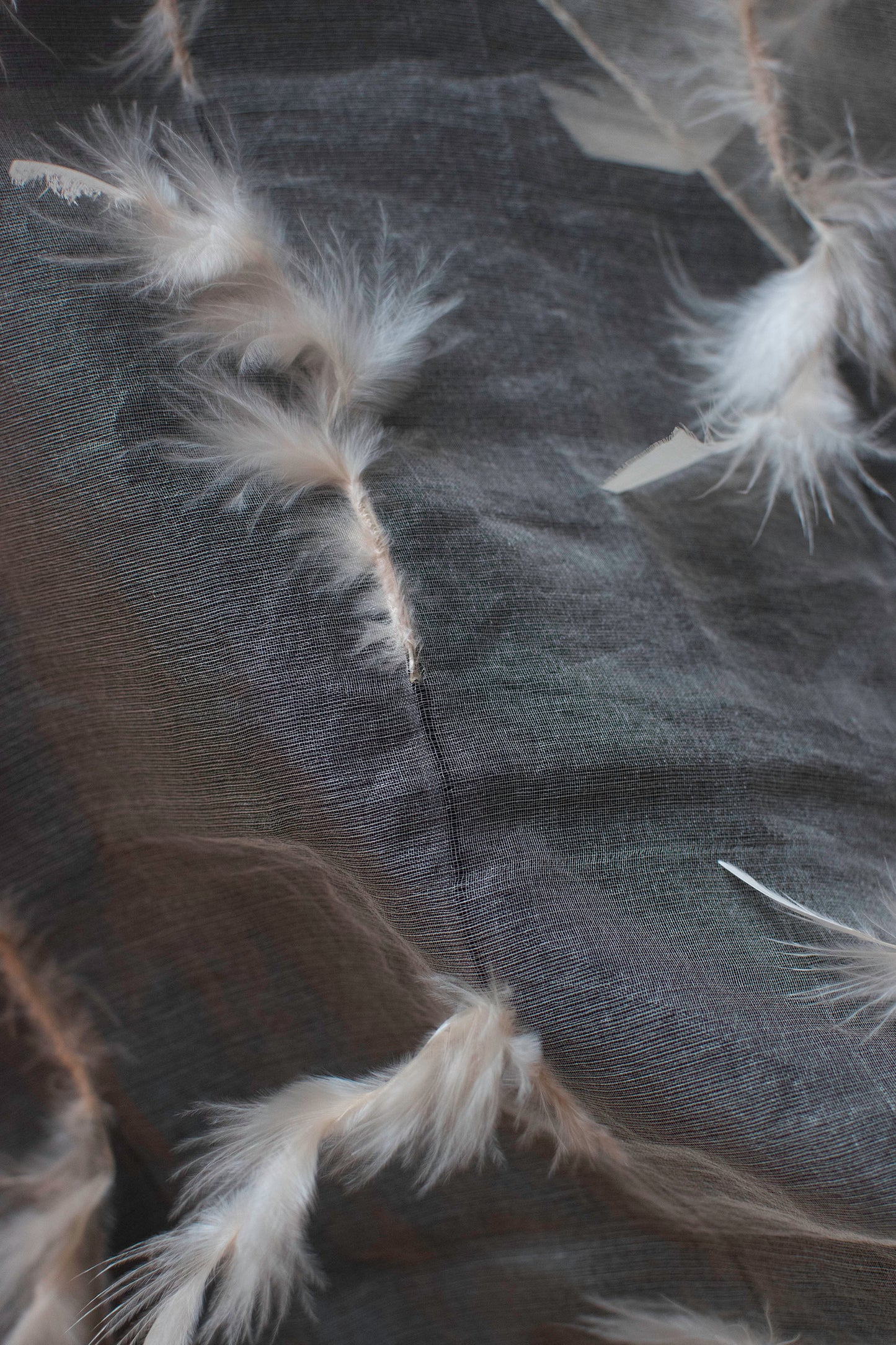 Silk Organza Feather Shawl