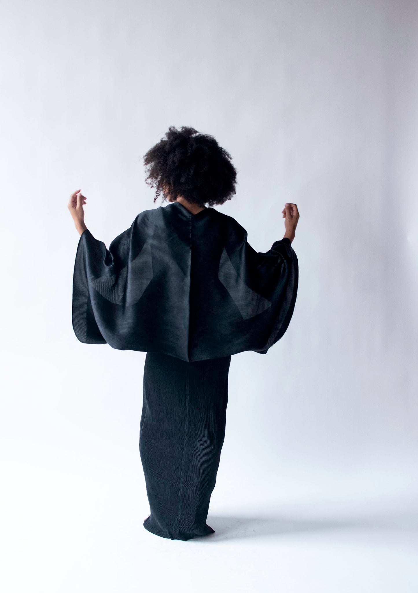 Pleated Gown | Issey Miyake