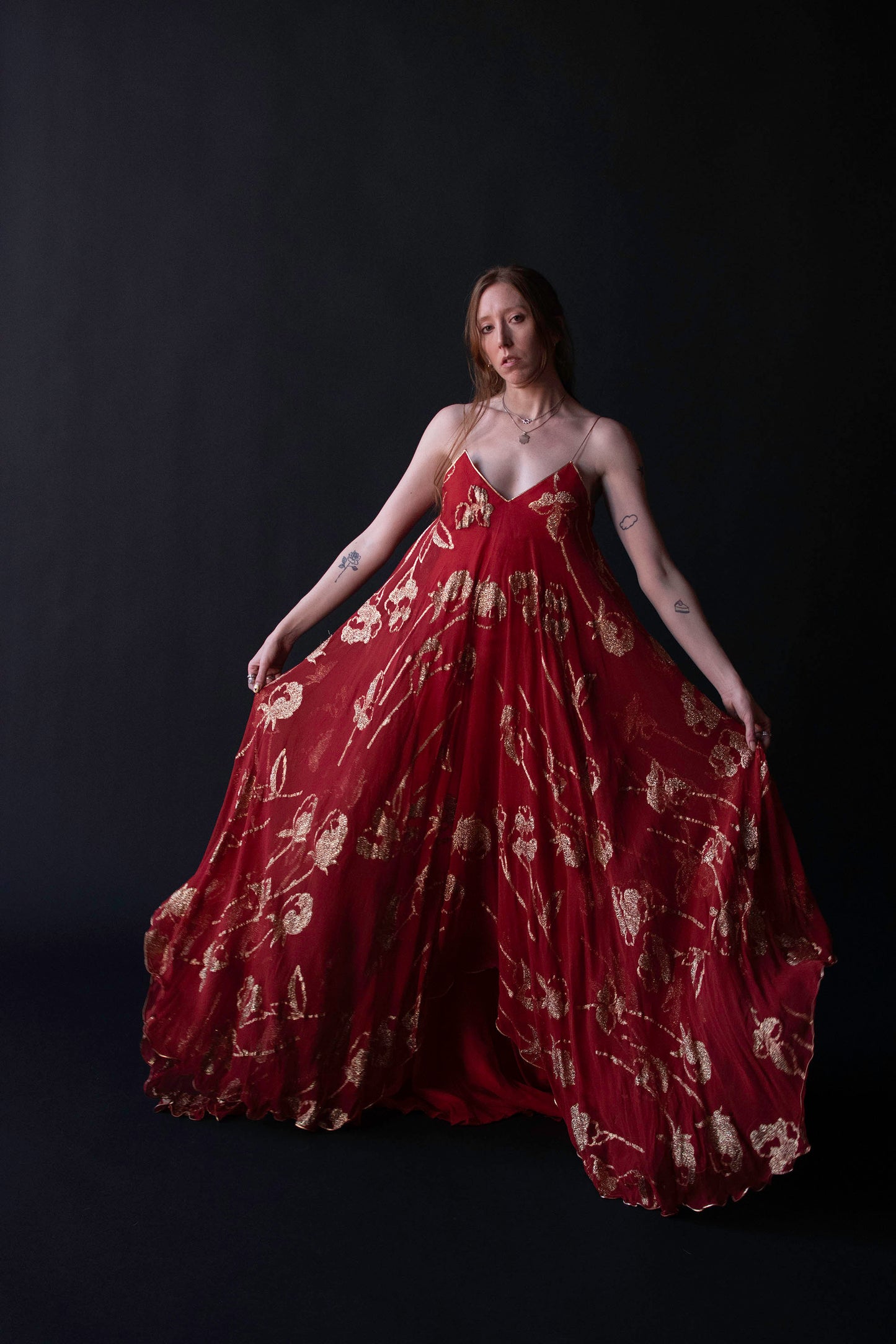 1970s Chiffon Gown | Lesely Sandra