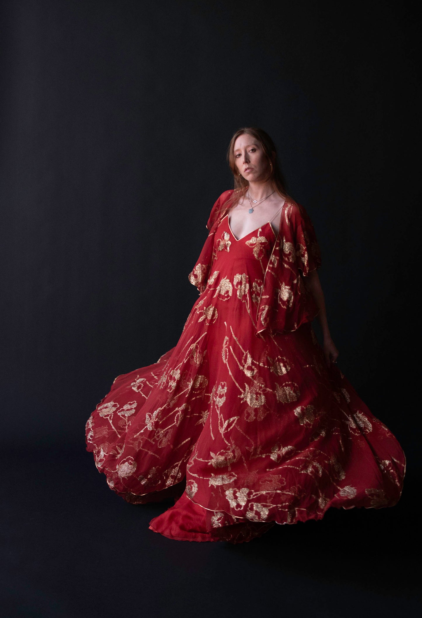 1970s Chiffon Gown | Lesely Sandra