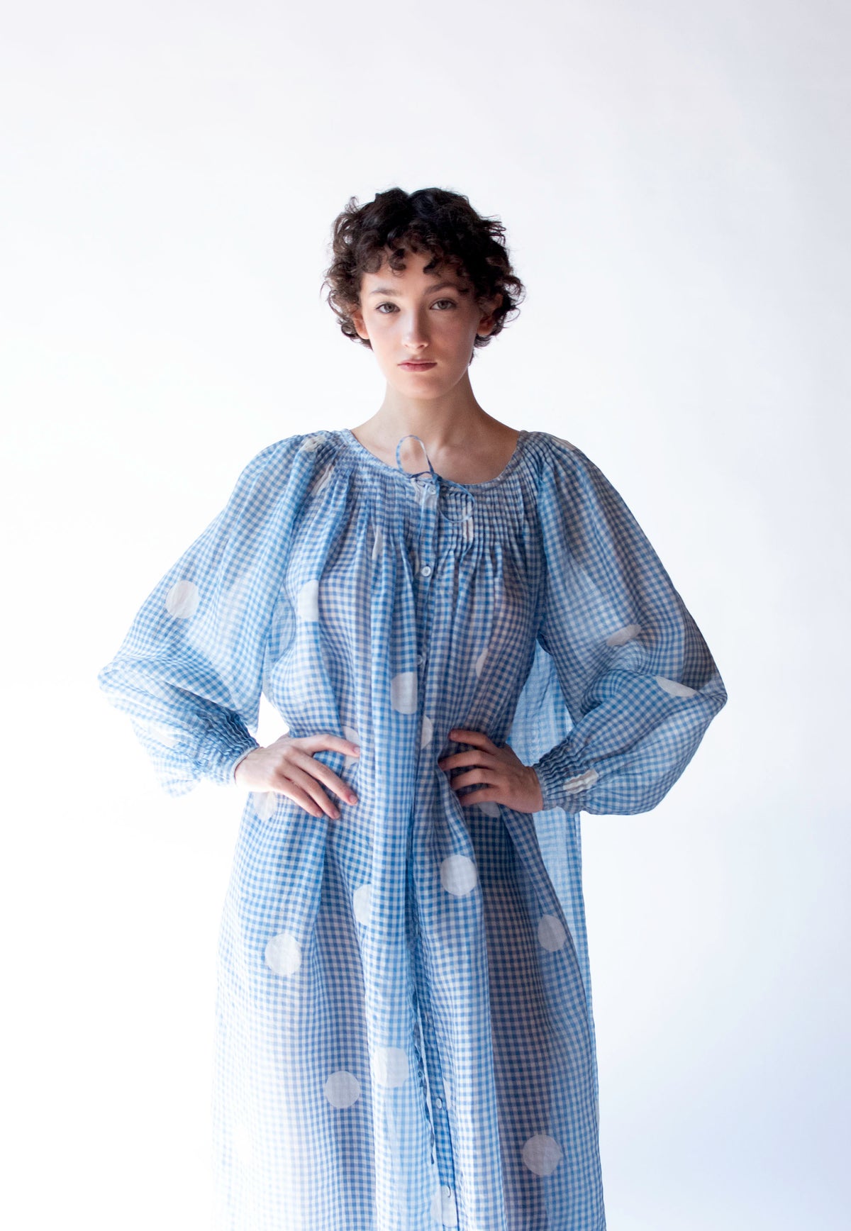 Organza Gingham Polka Dot Dress | Geoffrey Beene