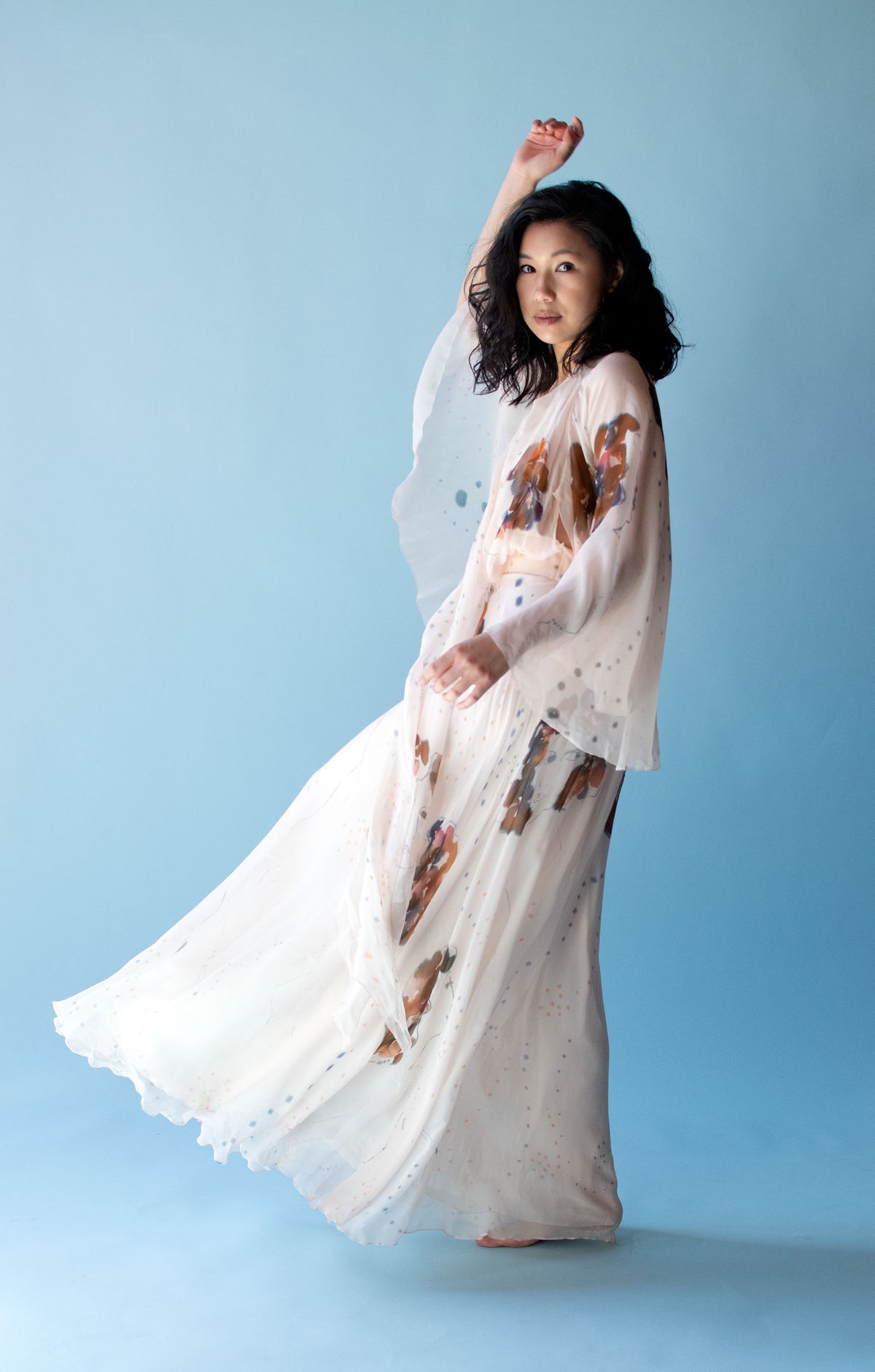 1970s Painted Chiffon Dress | Holly's Harp