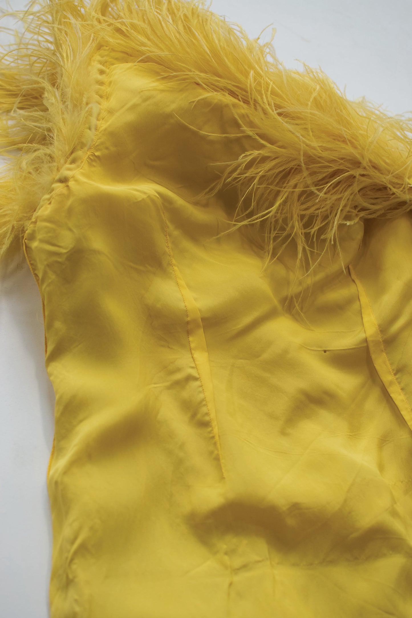 1970s Feather Trim Chiffon Dress
