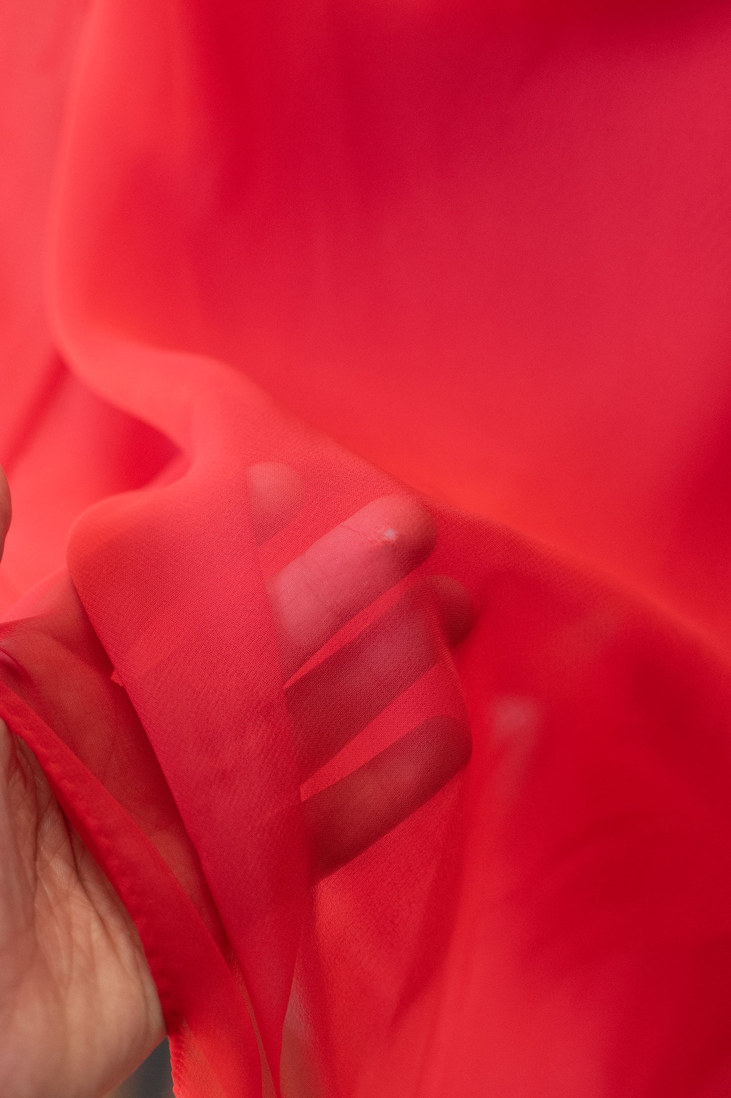 1970s Chiffon Pants Set | Albert Capraro