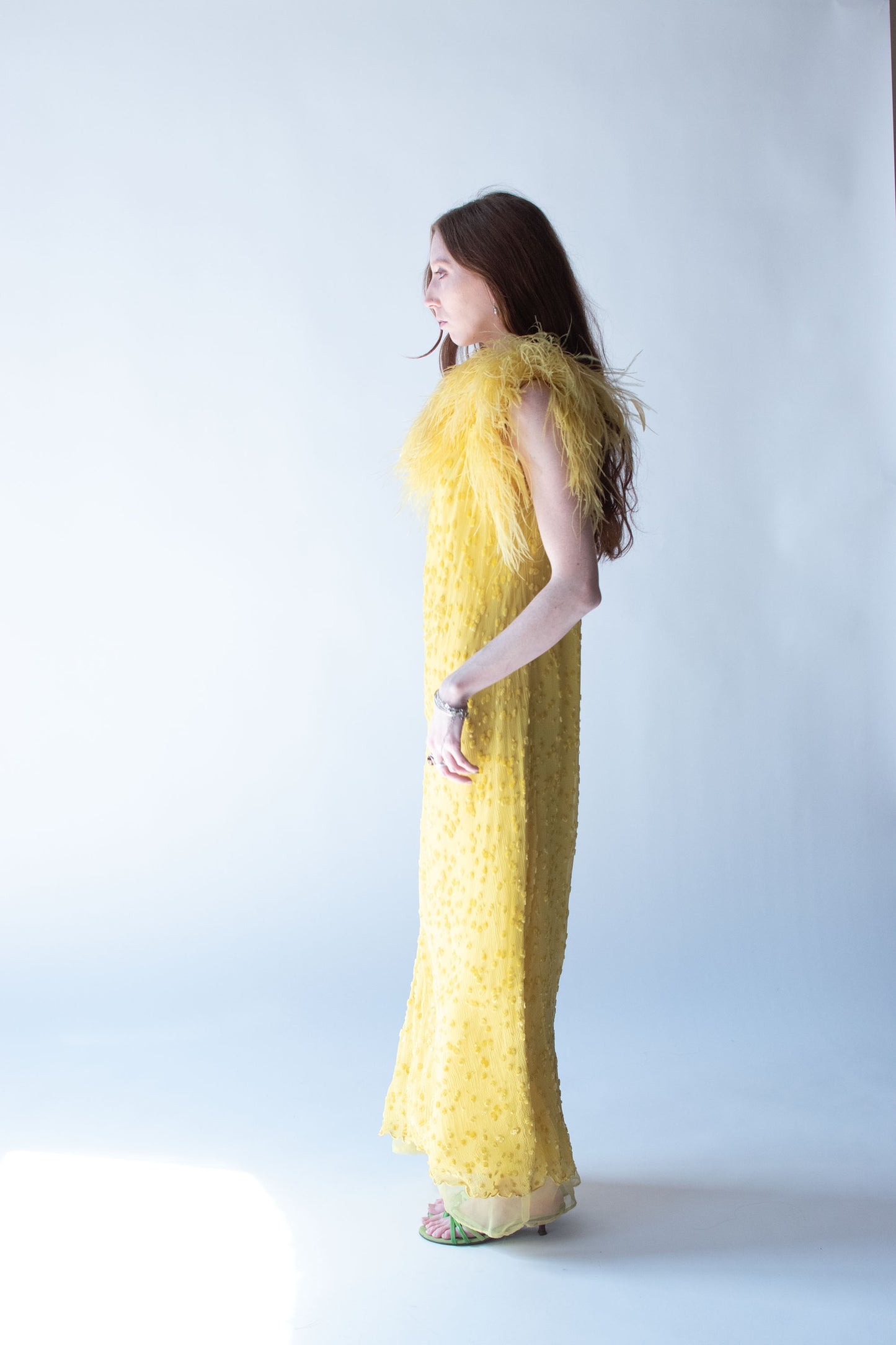 1970s Feather Trim Chiffon Dress