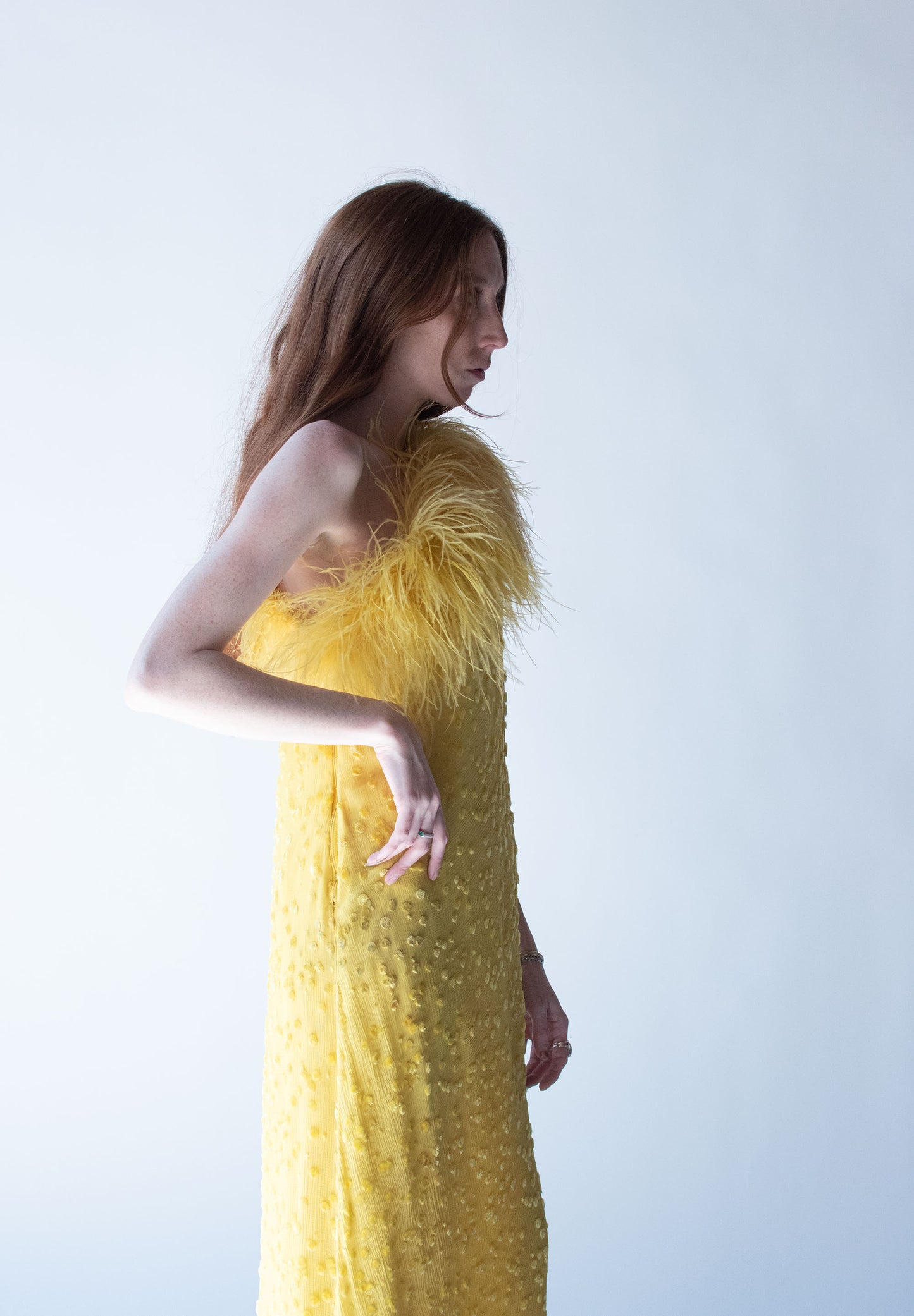 1970s Feather Trim Chiffon Dress