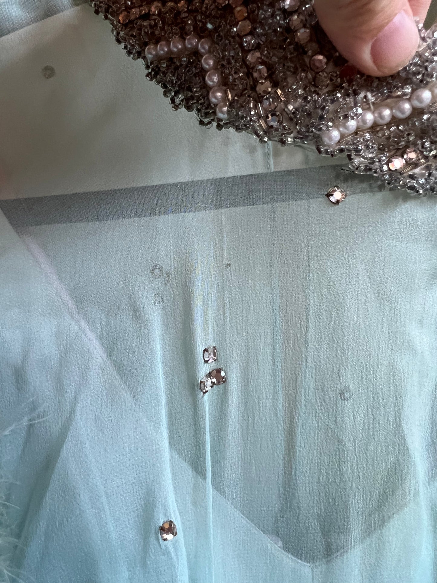 1960s Feather Trim Gown