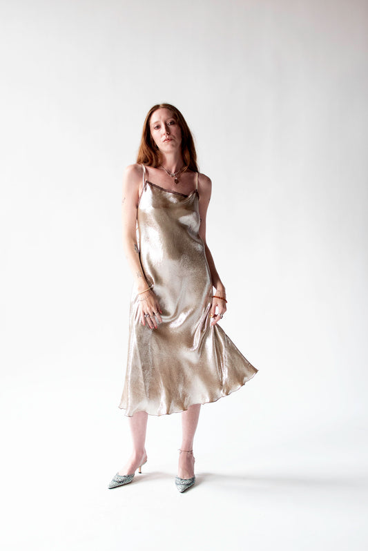 Metallic Slip Dress | Rozae Nichols
