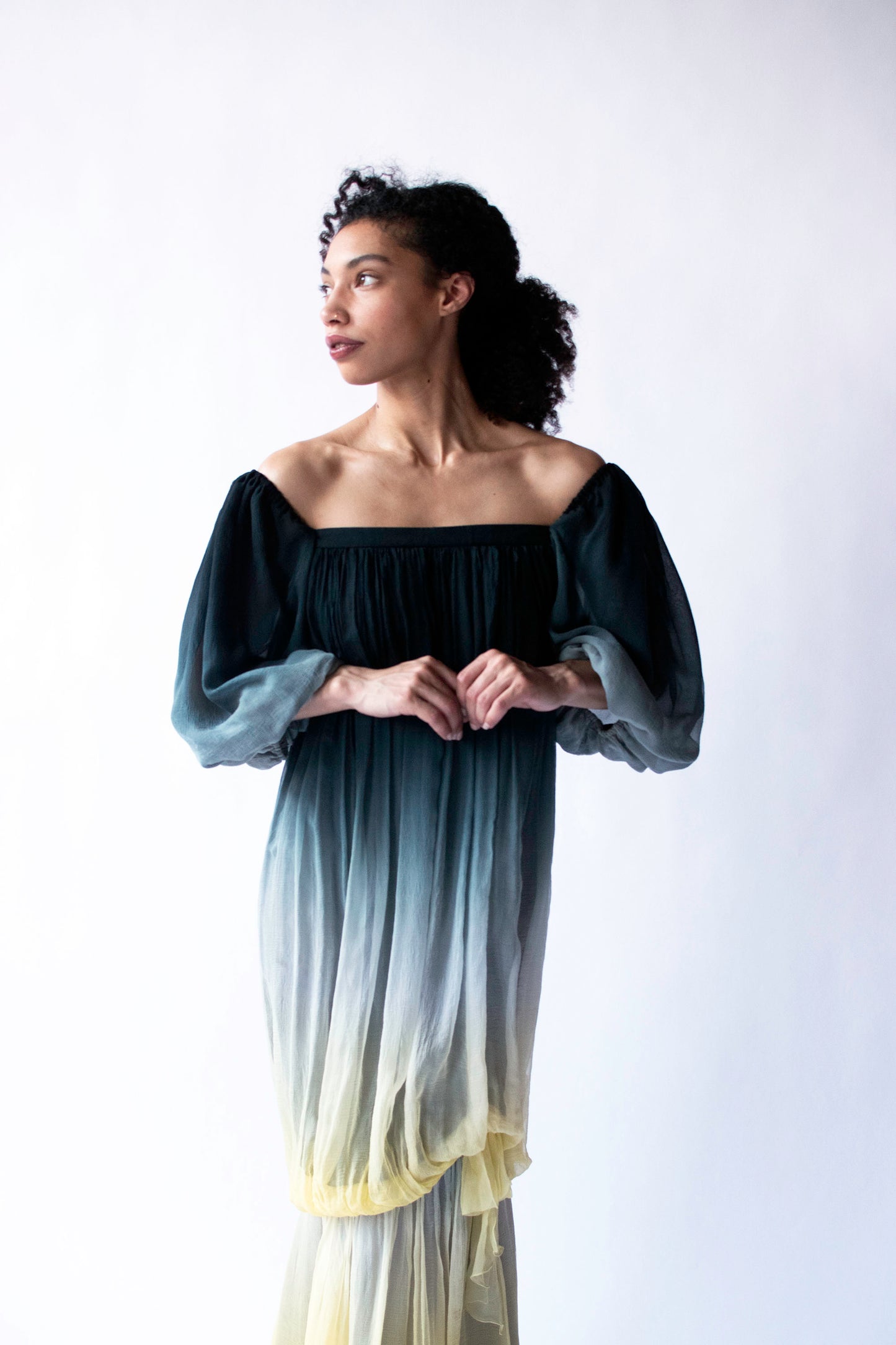 1970s Ombre Chiffon Dress