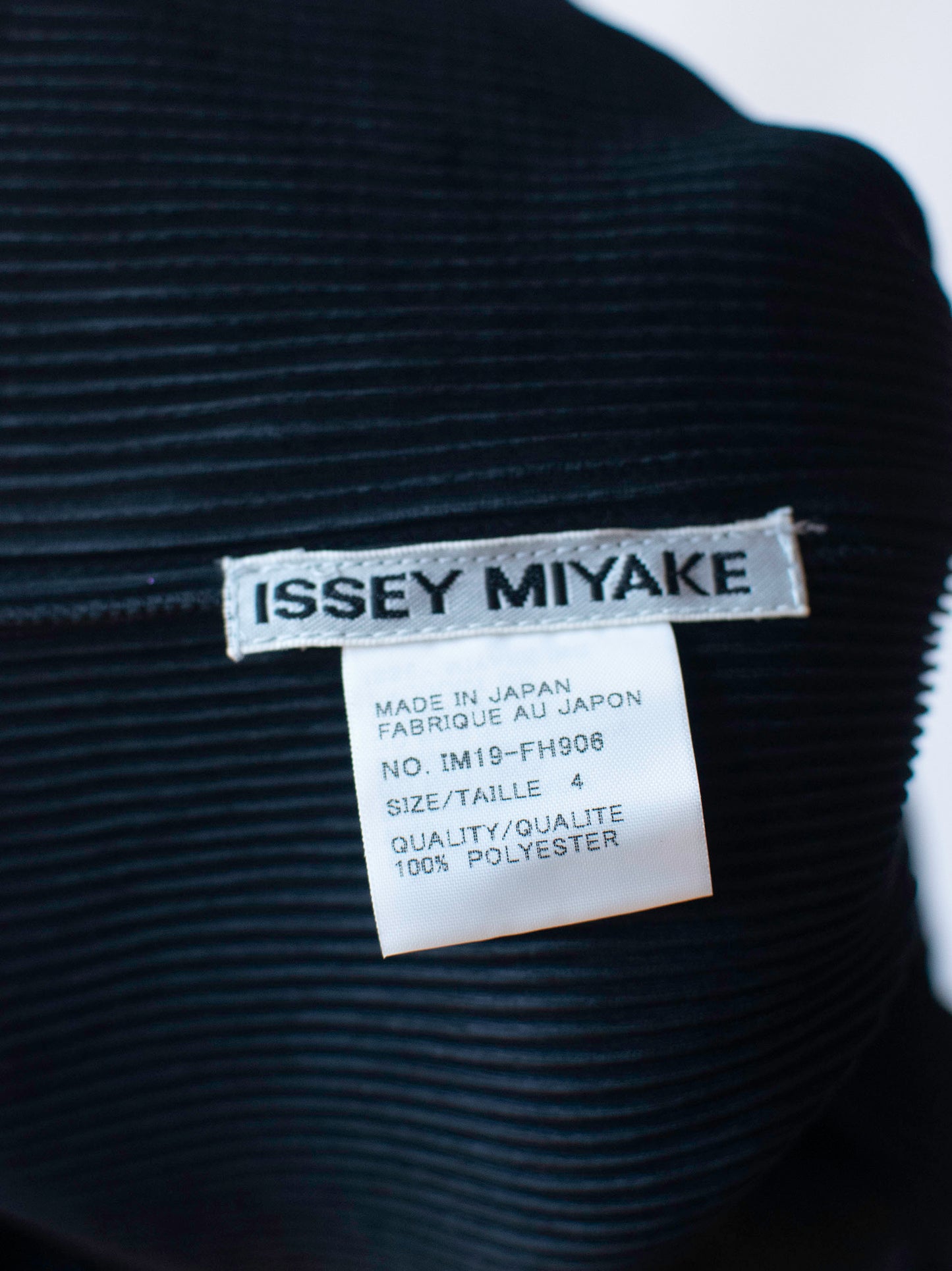 Pleated Gown | Issey Miyake