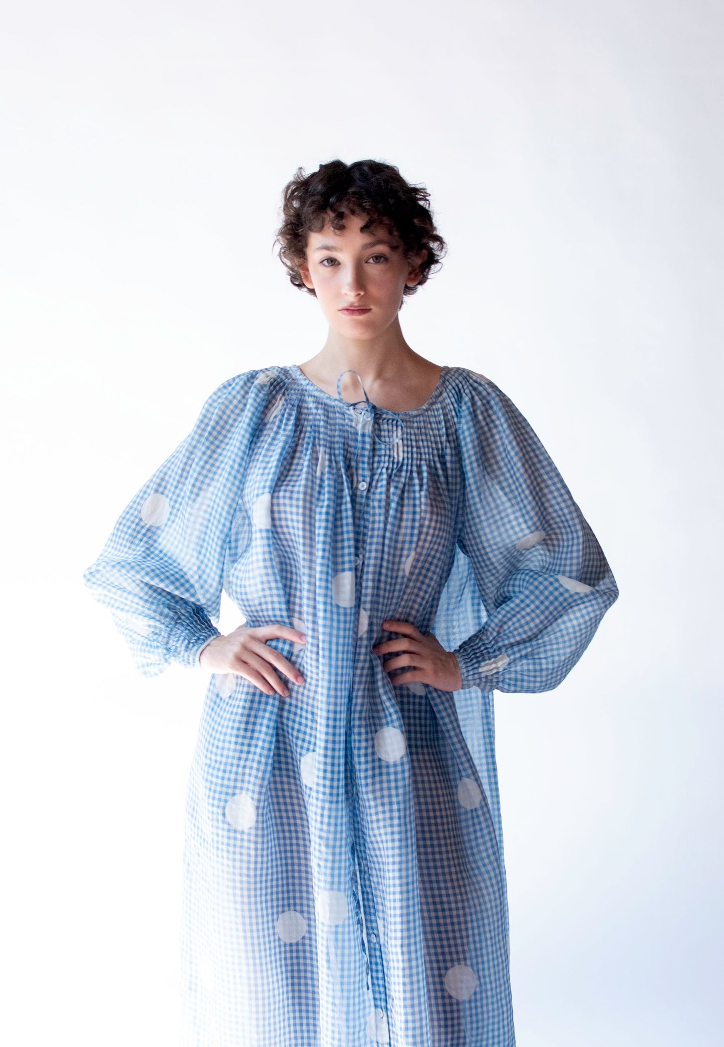 Organza Gingham Polka Dot Dress | Geoffrey Beene