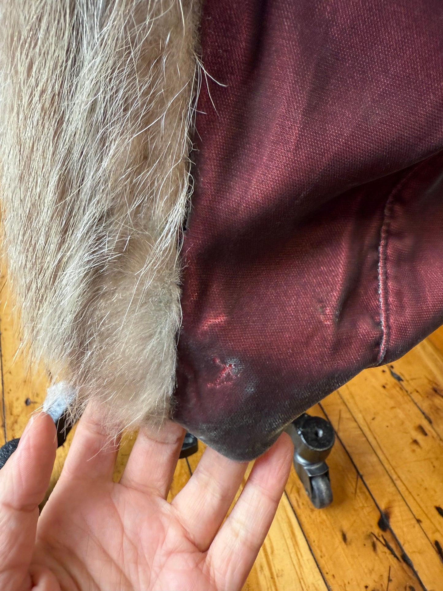 Velvet Coat w/ Fur Trim | Voyage Invest in the Original