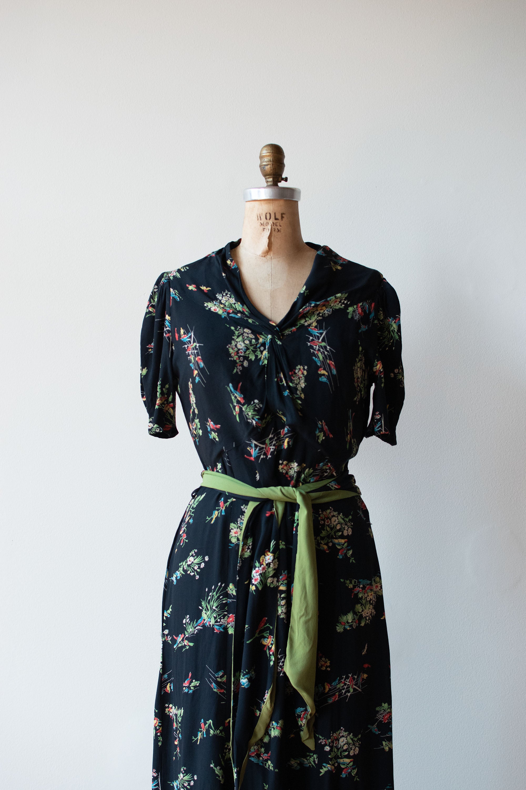 1940s Birds of America Rayon Dress Female Hysteria Vintage